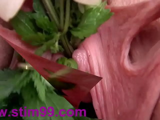 Japanese Woman Gets Her Pussy and Ass Filled with Nettles